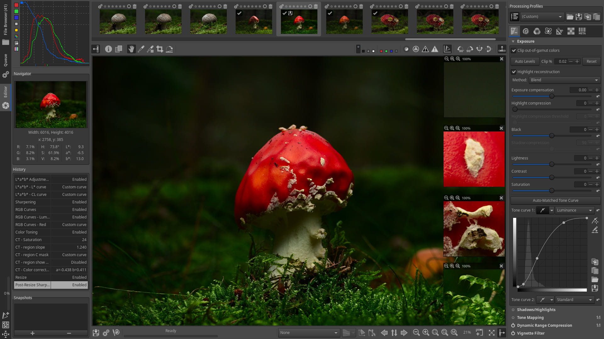 104_rt57_amanita_muscaria