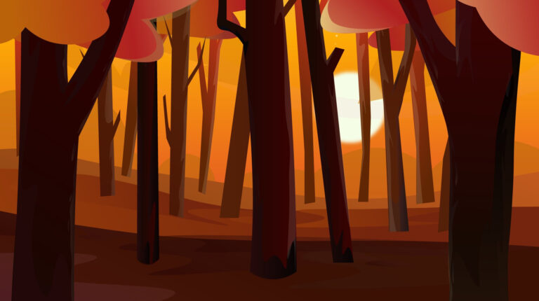 Forêt-coucher du soleil
