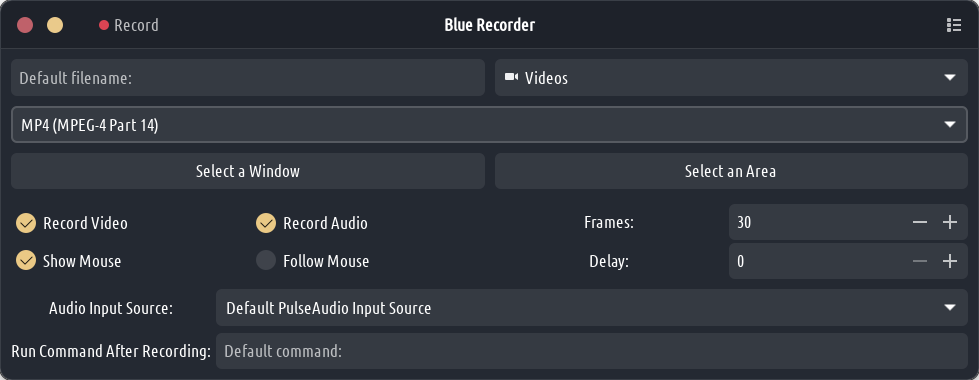 blue recorder1